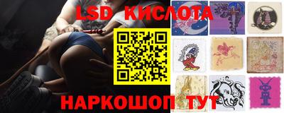 ПСИЛОЦИБИНОВЫЕ ГРИБЫ Гатчина